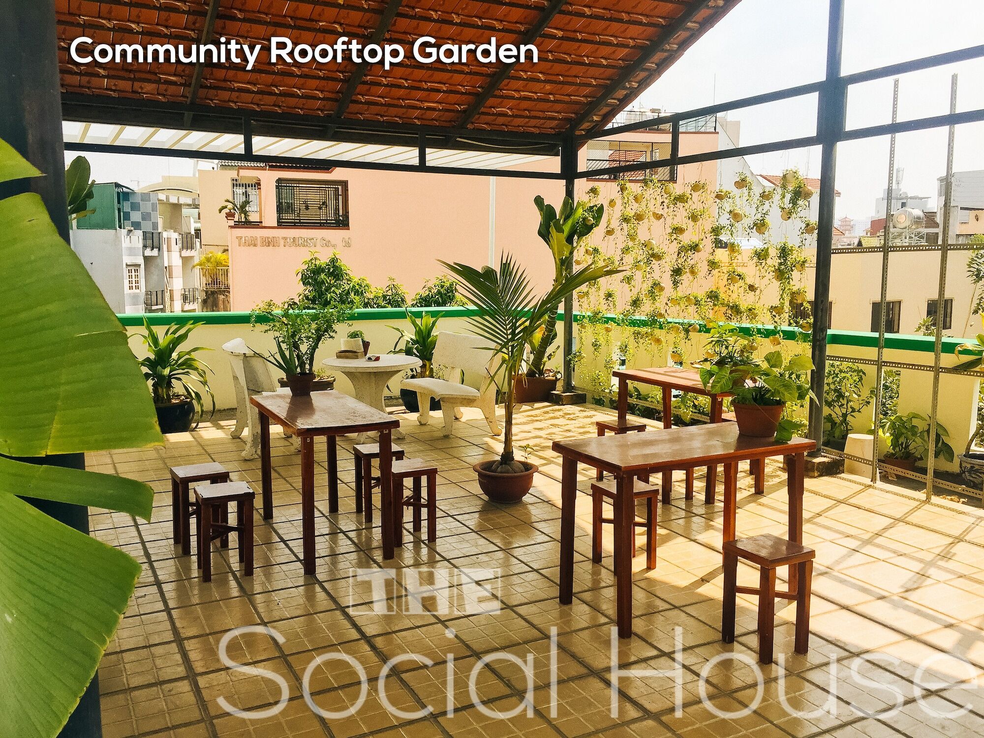 The Social House - Khách sạn