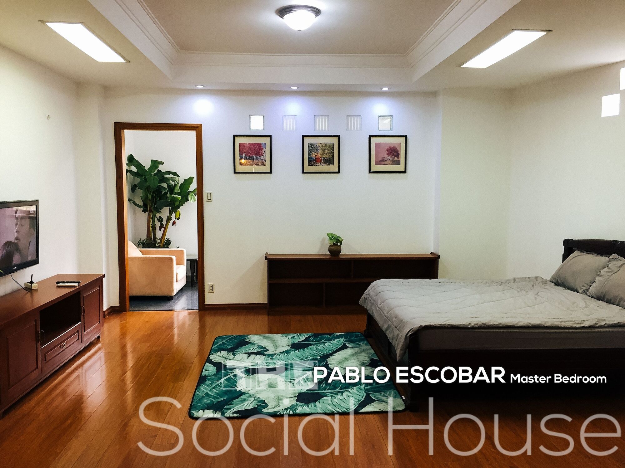 The Social House - Khách sạn 2*