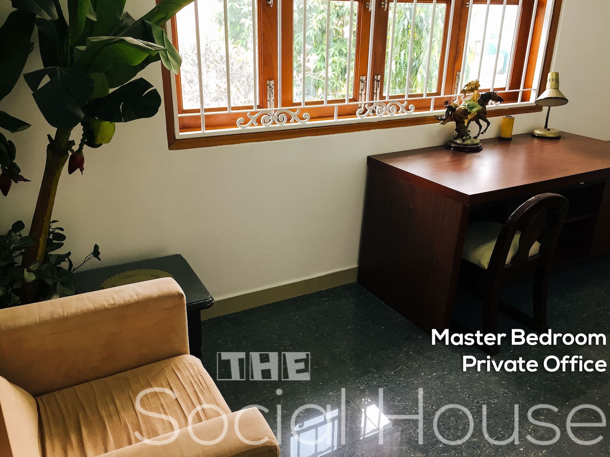 The Social House - 2* TP. Hồ Chí Minh